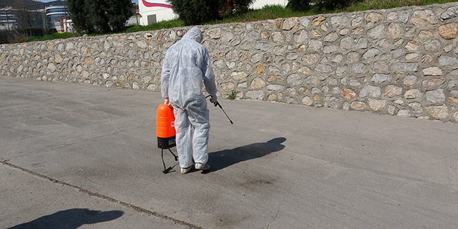 Karabük'te çekirge istilası korkuttu