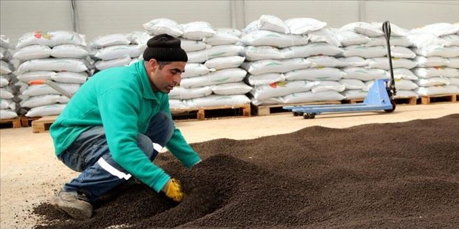 Şanlıurfa'da üretilen organik gübre yurt dışına satılıyor
