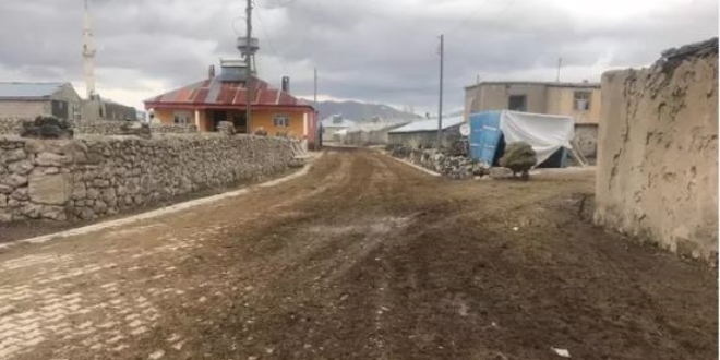 Van'da iki mahalle ve iki mezra karantinaya alındı