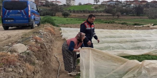 Jandarma tarlada yaşlı teyzeye yardım eli uzattı