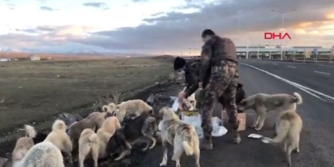 Polisler sokak köpekleriyle yiyeceğini paylaştı