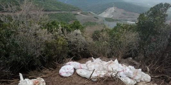 Bursa'da ölü tavukları çevreye atan çiftlik sahibine 88 bin 499 lira para cezası