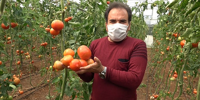 �reticilerin korona endi�esi