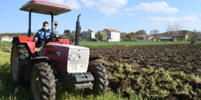 Zab�ta, ya�l� �iftin tarlas�n� s�rd�