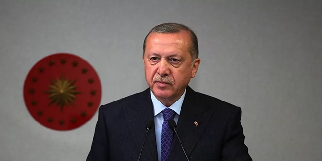 Erdoğan: Maske dağıtımında aksaklık var ama yokluktan değil
