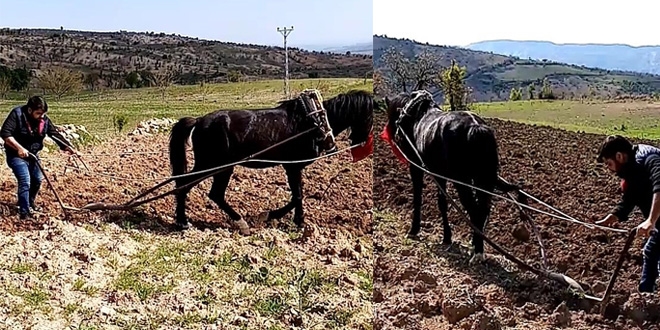 Adıyaman'da yaşlı adamın tarlasını imam sürdü