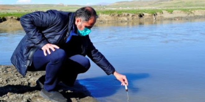 Van Gölü'nün 'incisi' için av yasağı yarın başlıyor