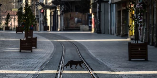 13 CHP'li belediye 'sokağa çıkma yasağı' istedi