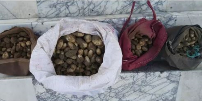 Salep bitkisini toplayan 4 kişiye dudak uçuklatan ceza