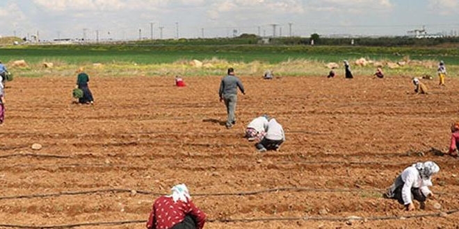 Tarımın tüm kaynakları doğru kullanılabiliyor mu?
