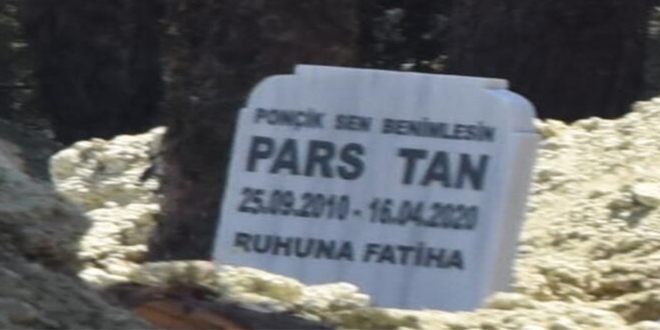 Ebru Şallı ve Harun Tan'ın evlat acısı... Pars'ın mezar taşı kahretti