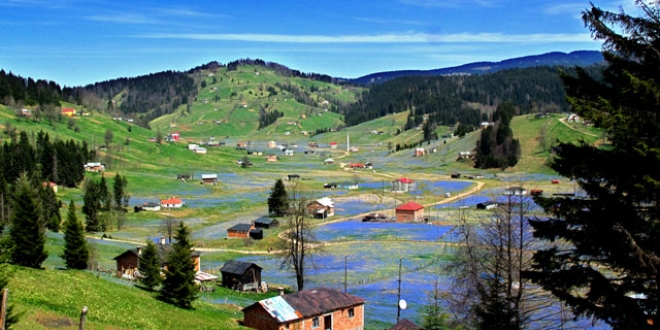 Koronavirüs nedeniyle 'Mor Yayla'ya ziyaretçi yasağı