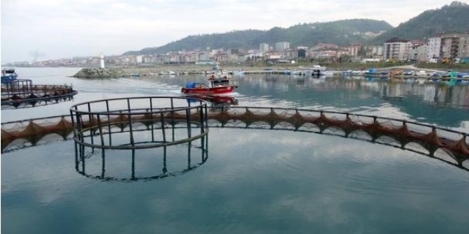 Karadeniz'de av sezonu bitti, kültür balıkçılığına ilgi arttı