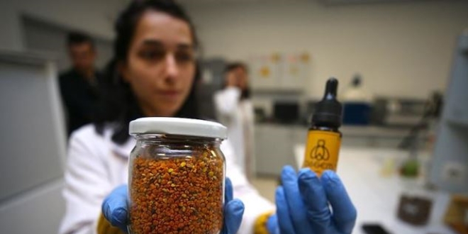 Uzmanından merdiven altı 'propolis' uyarısı