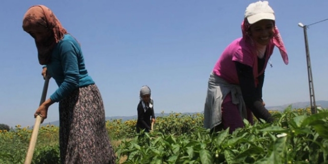 400 bin mevsimlik işçi yollara düşüyor