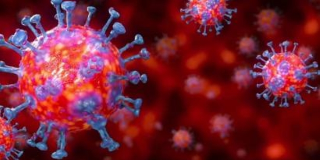 Dr. Trkan Peker: Virs souk vcudu seviyor