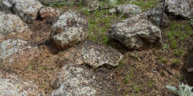 �imdi de �ekirge istilas�... O il�ede k�rsal b�lgeleri istila ettiler