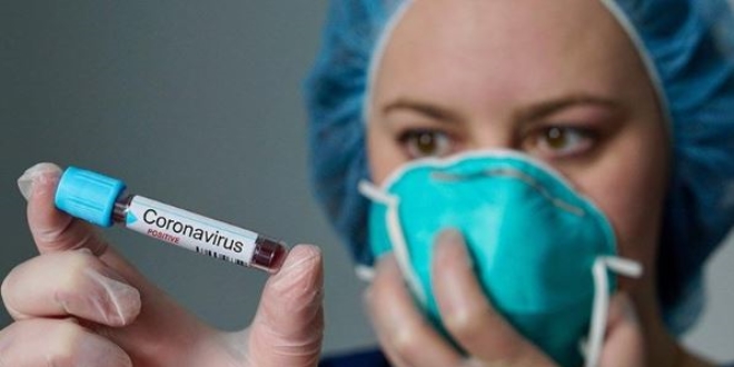 ABD'de ilk defa evcil hayvanlarda Kovid-19 tespit edildi
