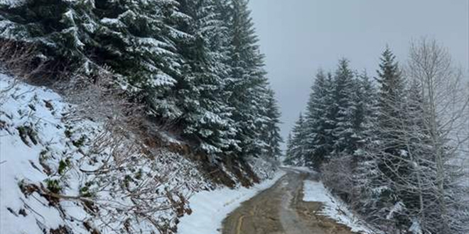 Rize'nin yüksek kesimlerine nisanda kar yağdı