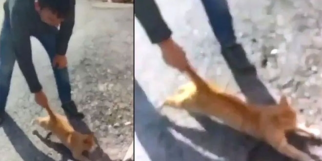 Görüntü büyük tepki çekti! Cezası belli oldu