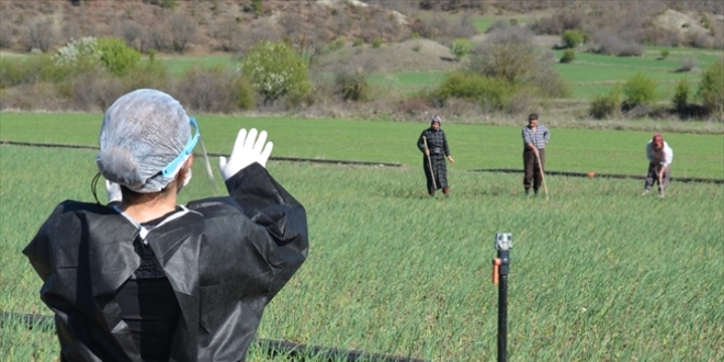 Çiftçilerin sosyal mesafesi drone ile denetleniyor