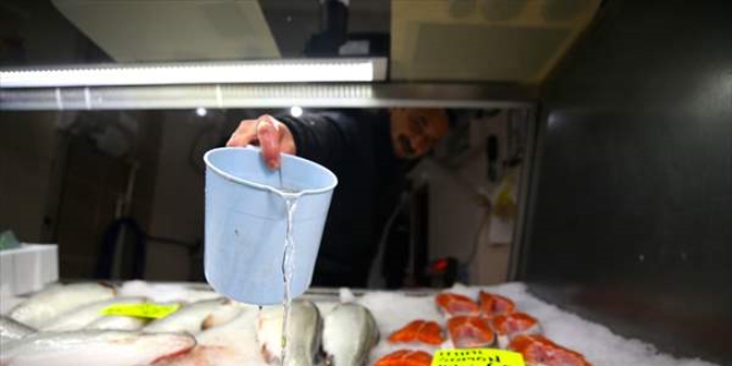 Tezgahlarda balık fiyatları ucuzladı