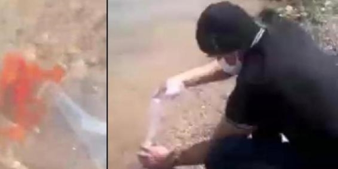 Göle izinsiz balık bırakan ABD'liye 10 bin lira ceza
