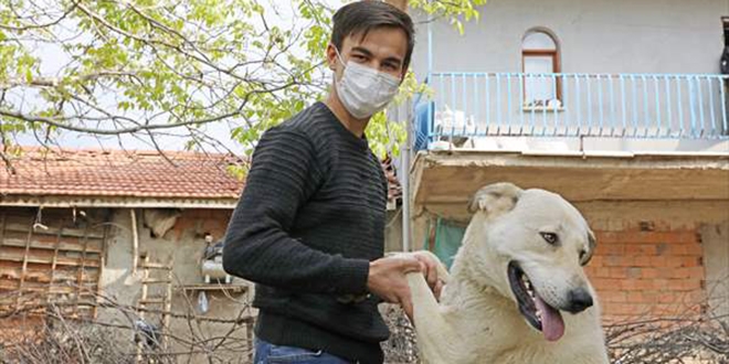 Koronavir�s� yenen gen�ten ya��tlar�na 'evde kal�n' �a�r�s�