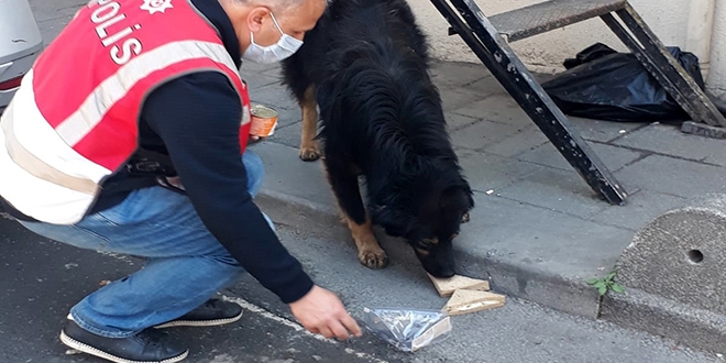 Polis memuru, iftarl�k kumanyas�n� sokak k�pe�iyle payla�t�