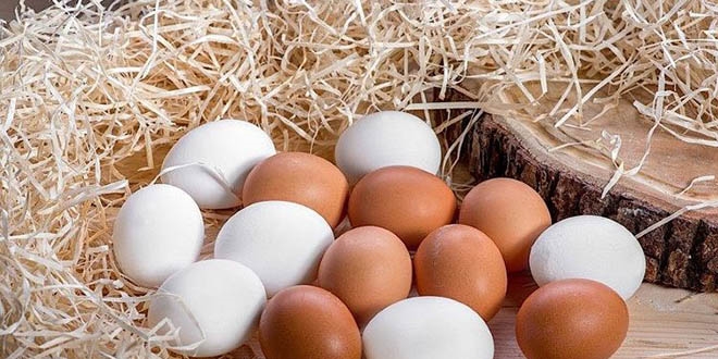 Yumurta tketimi 'karantina' etkisiyle artt