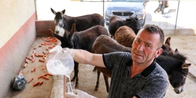 Eşek sütü satan girişimci, siparişlere yetişemiyor