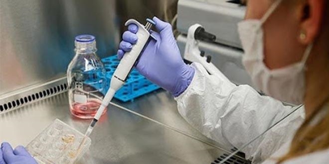 Slikon vadisinden ayrıldılar, Türkiye'de aşı çalışması yapacaklar