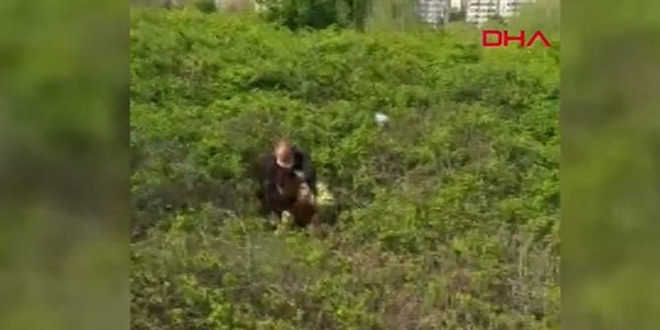 Kısa yoldan Beylikdüzü'ne gidecekti, çalılıkta mahsur kaldı