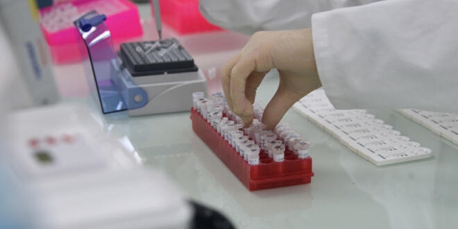 Koronavirüse karşı geliştirilen yerli ilaç 'TR-C 19' ne aşamada?