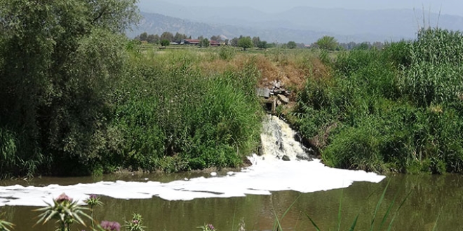 'Büyük Menderes Nehri'nde kirlilik dördüncü aşamada'
