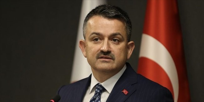 Kovid-19 anti-serumu için virüsün hayvanlara verilmesine haftaya başlanacak