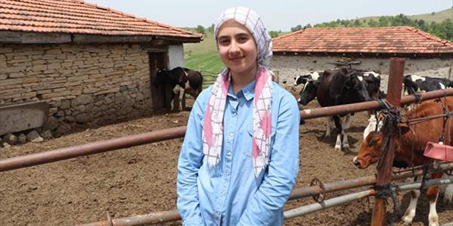 'İnek otlatırken EBA'da canlı derse katılan kız' hukuk okumak istiyor