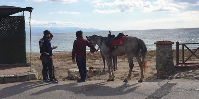 Plajda atlarıyla gezen ciritçilere 16 bin TL ceza