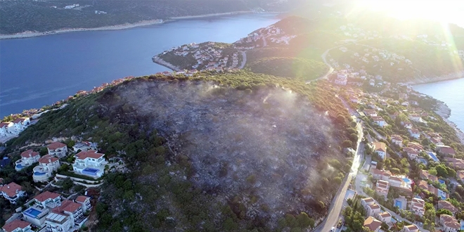 OGM'den, Kaş'ta yanan araziyle ilgili açıklama