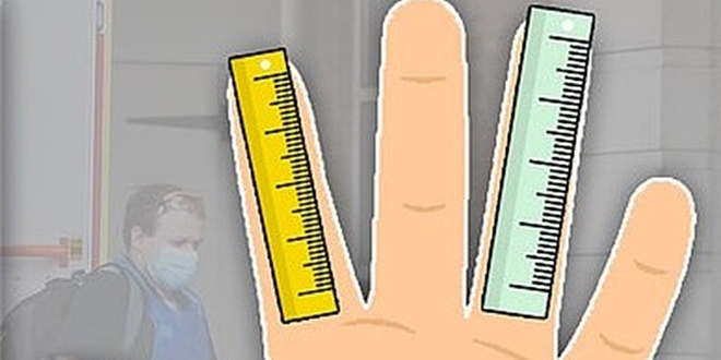 Yzk parma uzun olan erkeklerin korona'dan lme riski daha dk