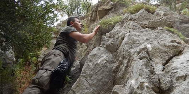 Keki�in 8 yeni t�r� ke�fedildi