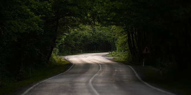 Safranbolu'nun ağaç tünelli yolu 'yolcularını' bekliyor