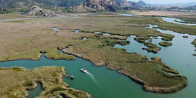 Dalyan sazlıkları yine turistlerin gözdesi olacak