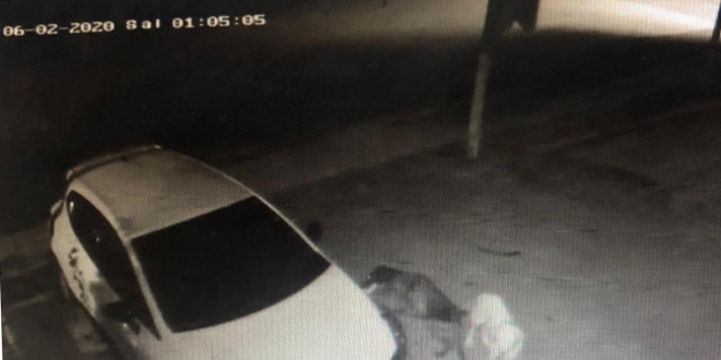 Köpekler otomobilin tamponunu parçaladı