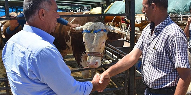 Kurban alımında pazarlık yaparken el sıkışmak yasaklandı