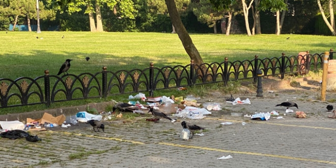 Caddebostan Sahili'nde utandıran manzara!