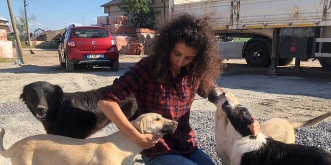 Yasemin öğretmen, maaşını sokak hayvanlarına harcıyor