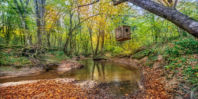 Sosyal mesafeli tatil: Bu yazı çadırda geçiriyoruz