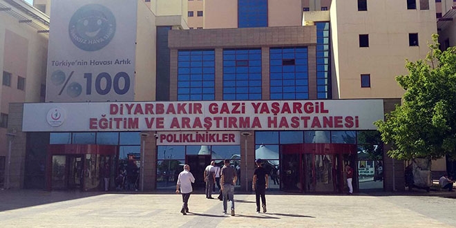 Diyarbakr'da vaka saylar 10 gnde tavan yapt