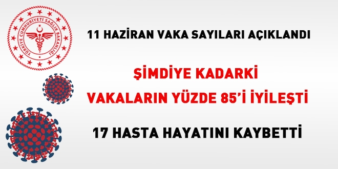Veriler açıklandı... Şimdiye kadarki vakaların yüzde 85'i iyileşti